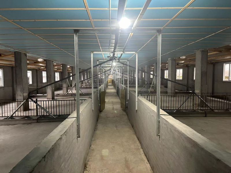 液態發酵飼喂的優點主要體現在以下幾個方面